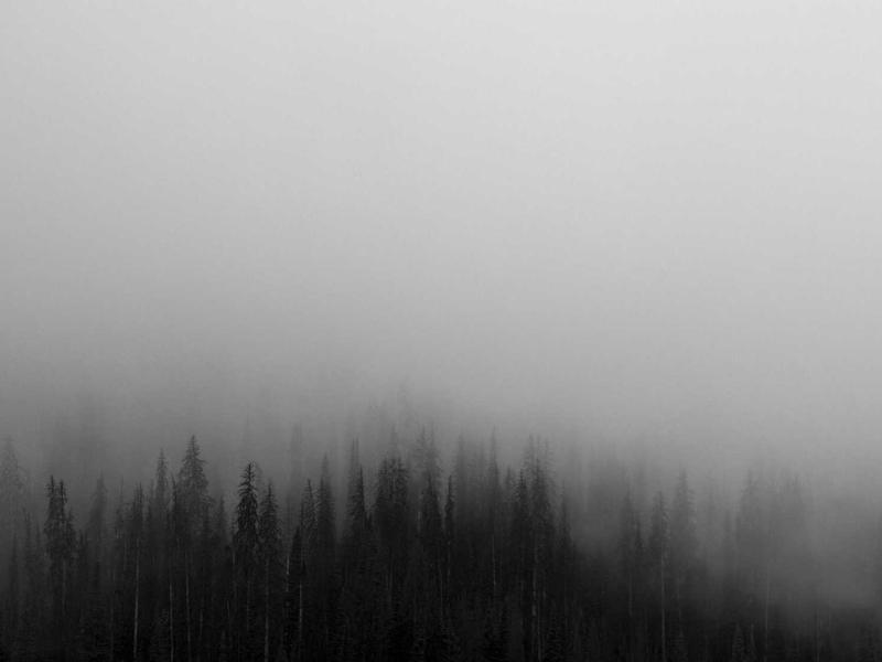书店不死<br>warnesu.cn 诚品生活提案